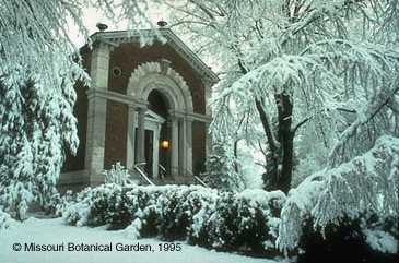 snow covered cut stone